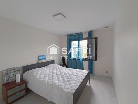 photo no. 9