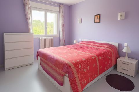 photo no. 7