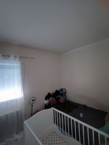 photo no. 5