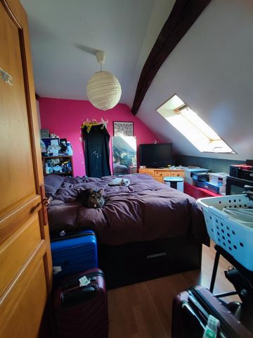 photo no. 7
