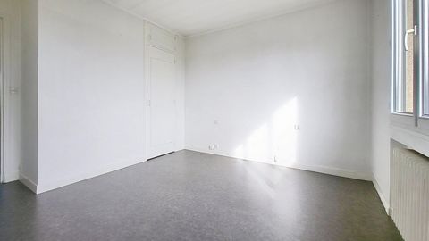 photo no. 7