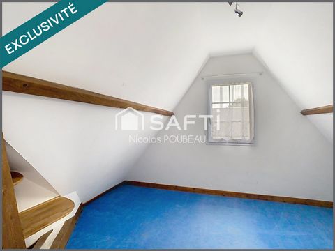 photo no. 9