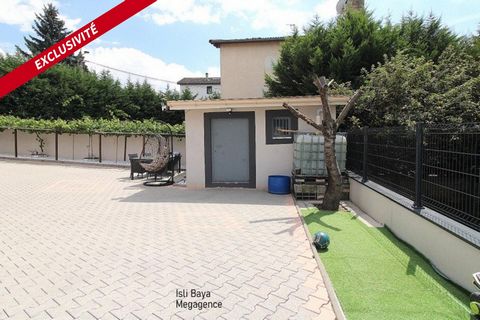 photo no. 11