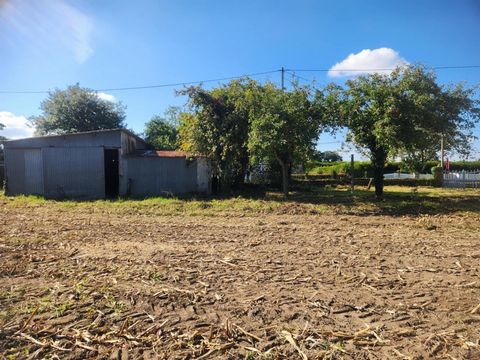 Terrain constructible TREBEDAN 1300m²