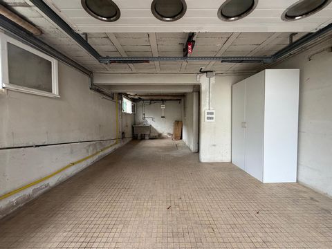 photo no. 11