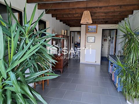 photo no. 4