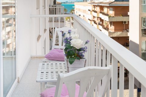 Disfruta del ambiente playero en este magnífico apartamento para 5 personas situado en la calle principal de Port d'Alcúdia y a tan sólo 300 metros de su playa. Desde el pequeño balcón de este apartamento familiar se puede ver el mar al final de la c...