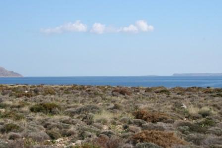 Kalo Nero, Makry Gialos, sud-est de la Crète : Terrain à bâtir au bord de l'eau à Kalo Nero, Makry Gialos, sud-est de la Crète. Le terrain est de 55 396 m2 avec permis de construire. Un terrain doucement commerçant pour un développement facile avec u...