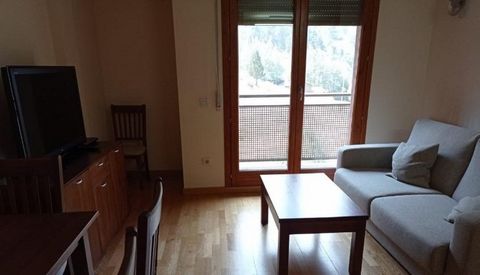 In the town of Aldosa de Canillo, we offer a 2 bedroom apartment (1 double and one single) with 57m2 and a terrace in the back with lots of light and sun, the apartment has a large living room with kitchenette, is fully equipped and furnished, includ...