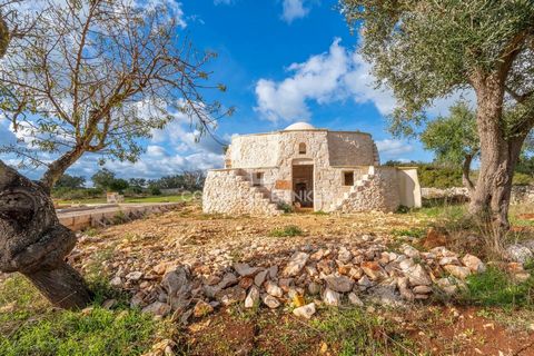 PUGLIA - CAROVIGNO(BR) RUSTIC / FARMHOUSE Coldwell Banker offers for sale, in Carovigno, beautiful land of 17,000 m2 with four Saracen trulli in a well-kept and quiet area, in a strategic position between Ostuni, Brindisi airport and the sea. The pro...