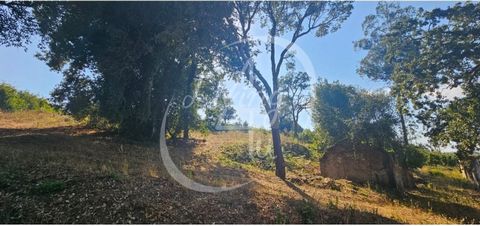 Situated in Acipestre next to Alcobaça 15m from São Martinho do Porto you will find this land where you can build your family home! Land of 10786m2 already with approved project for the construction of V3 villa with swimming pool. Quiet area with goo...