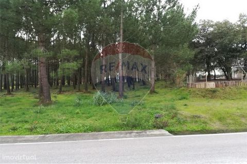   Plot of land with a total area of 7000 m2 located in Maceira.   This plot of land has a construction area of about 3500 m2. It is suitable for the part of the industry, or for the construction of several villas.   The site already has basic infrast...