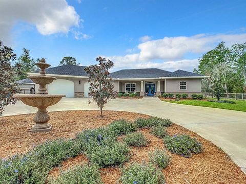Your Florida lakefront dream property is here! Nestled near the picturesque Ocala National Forest, this custom-built masterpiece is a true gem. Completed in 2022, this custom 4 bedroom, 3 bathroom residence is a testament to quality and style. The bu...