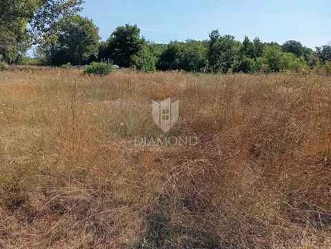 Location: Istarska županija, Labin, Labin. A spacious building plot for sale in the vicinity of the picturesque town of Labin. The land area is 4707 m², and it is characterized by a flat surface and a regular shape, ideal for the construction of vari...