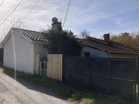 photo no. 13
