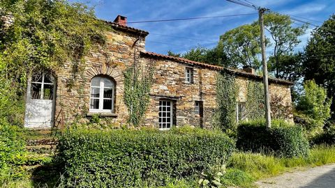 Dans un environnement calme, Ancienne bâtisse en pierre du 19e siècle d'une surface habitable d'environ 162 m² comprenant: entrée, cuisine aménagée, salon séjour avec poêle, bureau ou petit salon en mezzanine, 2 chambres, salle d'eau WC. Au niveau su...