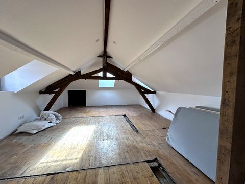 photo no. 8