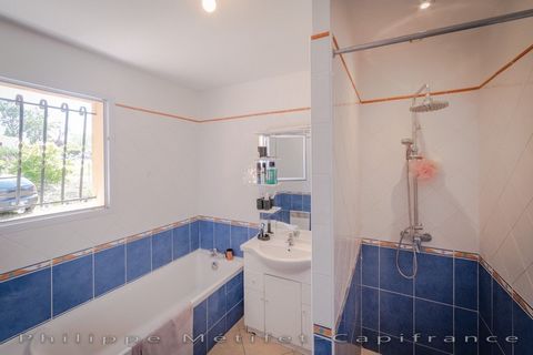 photo no. 2