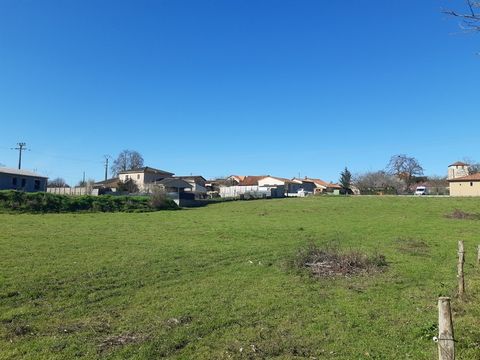 photo no. 1