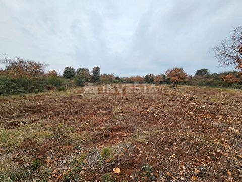 Wij verkopen goedkoop een landbouwperceel in Peroj, dicht bij de zee, voor een prijs van 9.000 EUR. Gelegen in een rustige omgeving biedt dit perceel een uitstekende kans voor degenen die op zoek zijn naar een plek om te ontspannen en tot rust te kom...