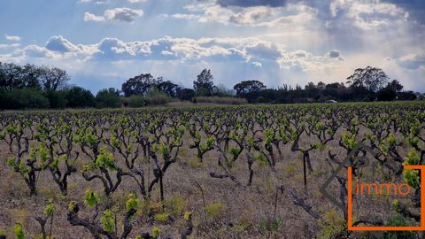 TERRE AGRICOLE Canet en roussillon : Située entre Saint-Nazaire et Canet en Roussillon côté étang. Terre agricole. Vente de 3 lots attenants : 17 491 m2 , 18 600 m2 , 5 305 m2 Contacter Mme GUISSET Tél: ... Agence Pro Immo Agent Commercial Mandataire...