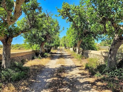 Découvrez la merveille de vivre dans un endroit où MENORCA EST UN PARADIS PROCHE. A une courte distance de la charmante ville d'Alaior, cette propriété unique vous attend. Une magnifique maison de campagne à Alaior, dans les environs, avec 660 m² con...