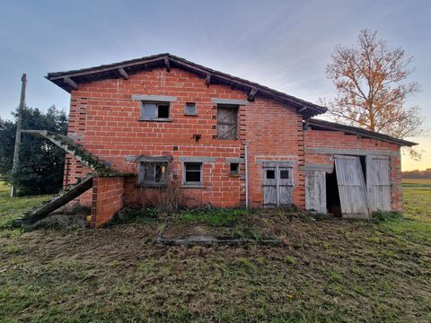 photo no. 4