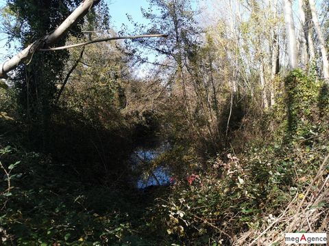 photo no. 3