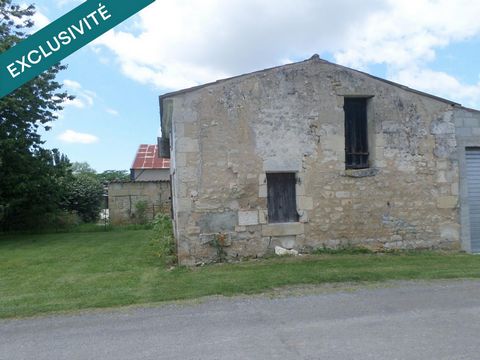 photo no. 4