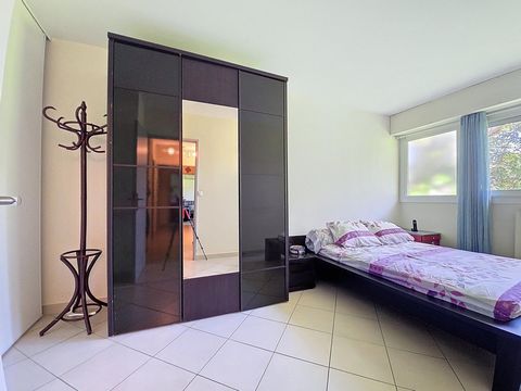 photo no. 4