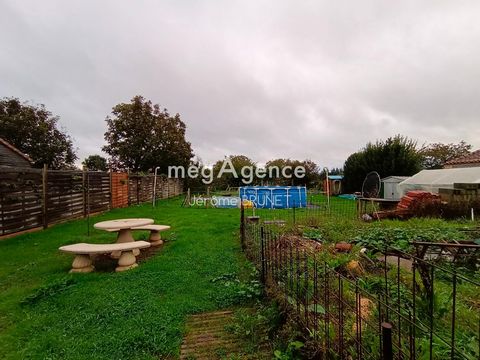 photo no. 10