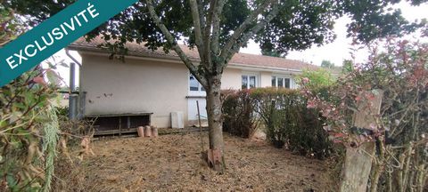 photo no. 14