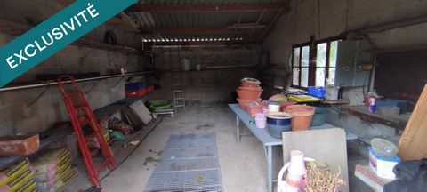 photo no. 18