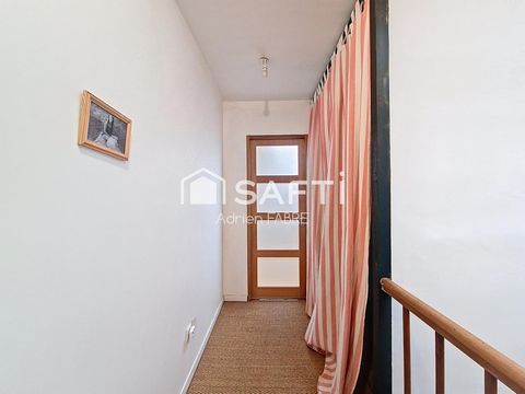 photo no. 11