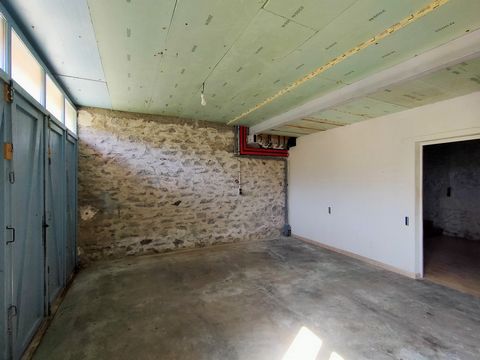 photo no. 12