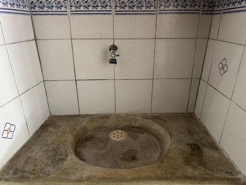 photo no. 17