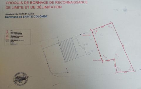 photo no. 2