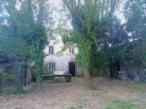 photo no. 10