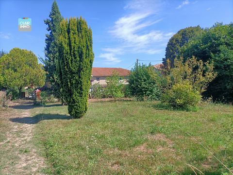 photo no. 8