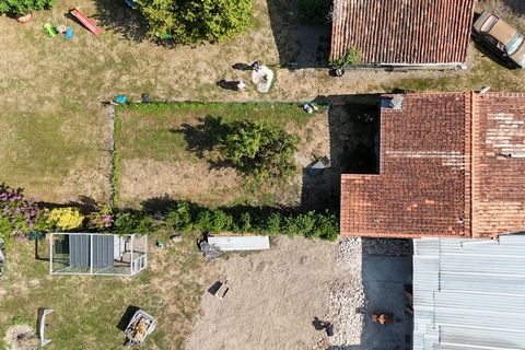 photo no. 17