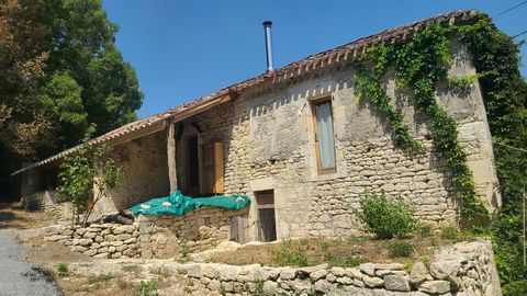 photo no. 13