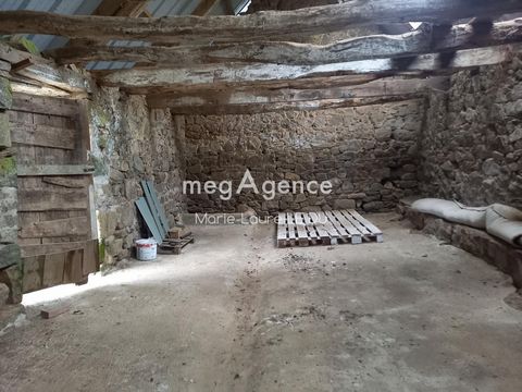photo no. 14
