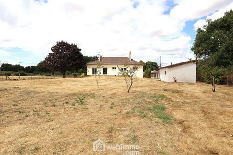 photo no. 16