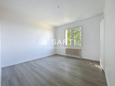 photo no. 11