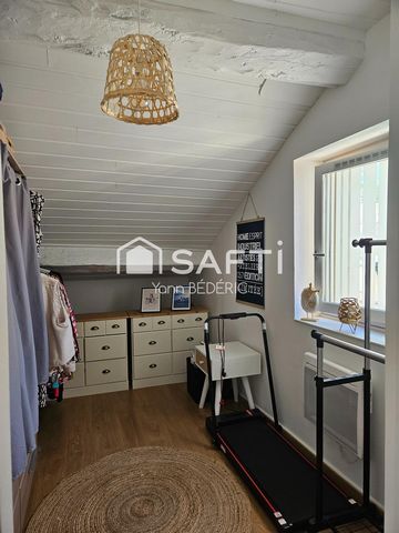 photo no. 11
