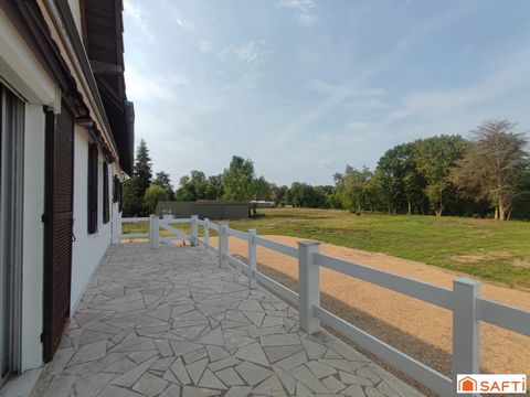 photo no. 2