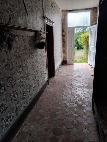 photo no. 6