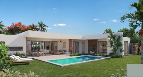 Gelegen in Grand Baie, is deze prachtige PDS-villa te koop. Met een woonoppervlakte van 269m² op een perceel van 583m² biedt deze woning een luxe en comfortabele woonomgeving. De villa beschikt over 3 slaapkamers met eigen badkamer, kantoorruimte, gr...