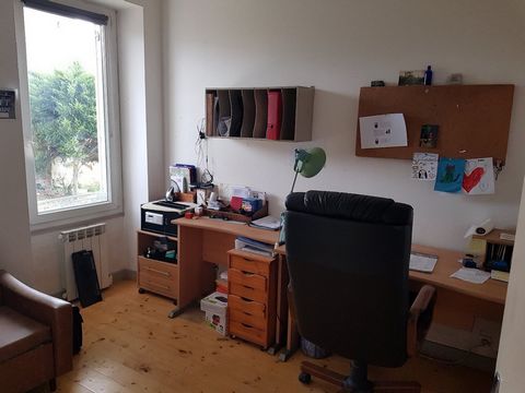 photo no. 8