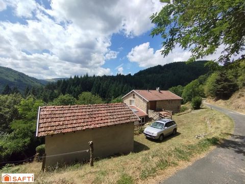 photo no. 13